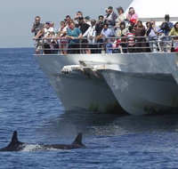 MoonshadowTQC Cruises - New South Wales Tourism 