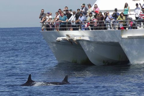 Moonshadow–TQC Cruises - New South Wales Tourism  0