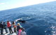 Moonshadow–TQC Cruises - thumb 1