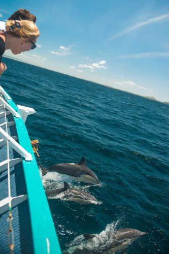 Moonshadow–TQC Cruises - New South Wales Tourism  3