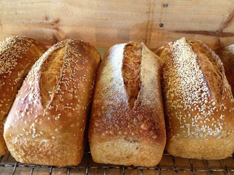 Blackbird Artisan Bakery - New South Wales Tourism  0