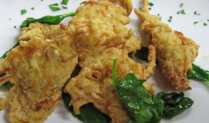 Haberfield NSW New South Wales Tourism 