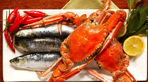 Bar Tino Restaurant - New South Wales Tourism  1