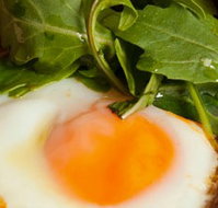 Rosebud Restaurant  Bar - New South Wales Tourism 