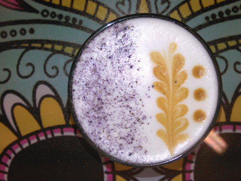 Yogolicious - New South Wales Tourism  4