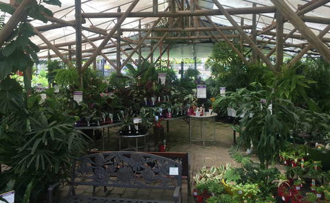 Limberlost Nursery & Garden Centre - New South Wales Tourism  1