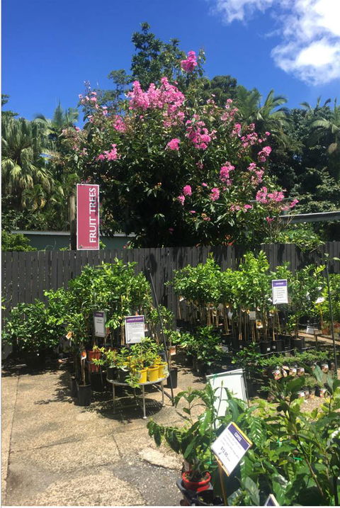 Limberlost Nursery & Garden Centre - New South Wales Tourism  3