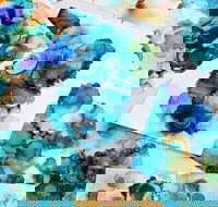Alcohol Ink Art Class - New South Wales Tourism 