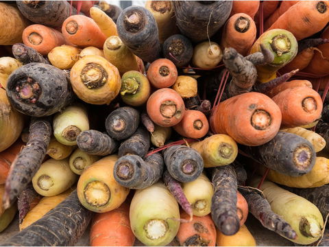 Alphington Farmers' Market - New South Wales Tourism  2