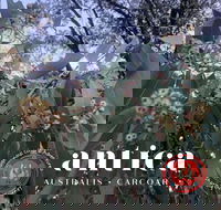 Antica Australis - Winter Fire Festival - New South Wales Tourism 