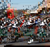 Australian Celtic Festival - New South Wales Tourism 
