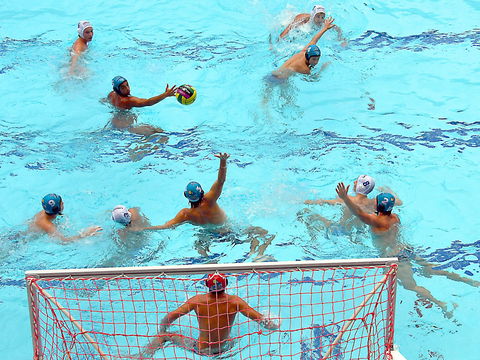 Australian Youth Water Polo Championships - New South Wales Tourism  0