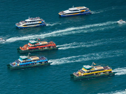 Australia Day Sydney Harbour Cruises - New South Wales Tourism  1