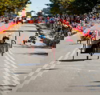 Australian Billy Cart Championships - New South Wales Tourism 
