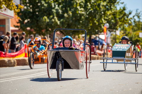 Australian Billy Cart Championships - New South Wales Tourism  2