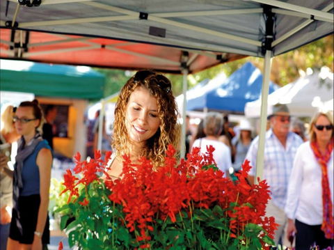 Ballina Missingham Farmers Market - New South Wales Tourism  0
