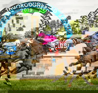 Bathurst Cup - New South Wales Tourism 