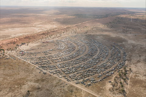 Birdsville Big Red Bash - New South Wales Tourism  1