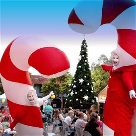 Blacktown Christmas Light Up Concert - New South Wales Tourism  0
