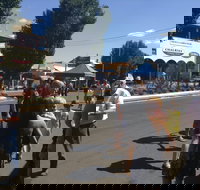 Bunny Bazaar - New South Wales Tourism 