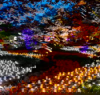 Canberra Nara Candle Festival - New South Wales Tourism 