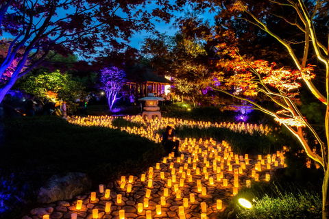 Canberra Nara Candle Festival - New South Wales Tourism  0