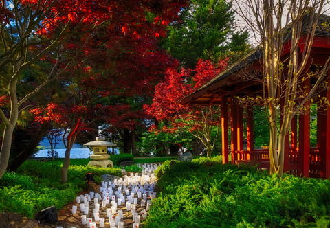 Canberra Nara Candle Festival - New South Wales Tourism  2