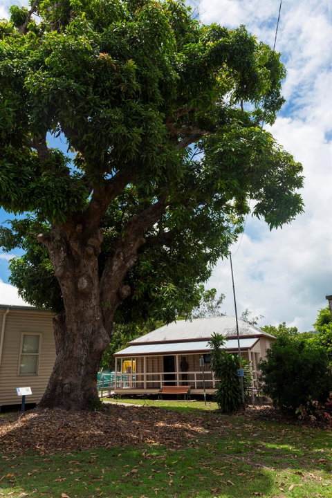 Cardwell Pioneers Tour - New South Wales Tourism  1