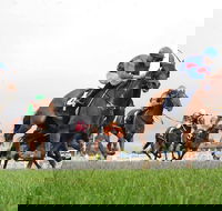 Christmas Cup Race Day - New South Wales Tourism 