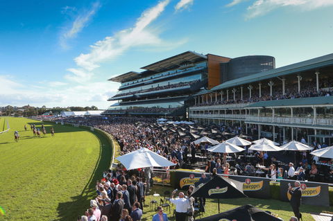 City Tattersalls Club Cup Day - New South Wales Tourism  1