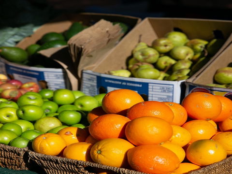 Cleveland  Markets - New South Wales Tourism  0