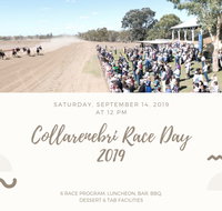 Collarenebri Races - New South Wales Tourism 