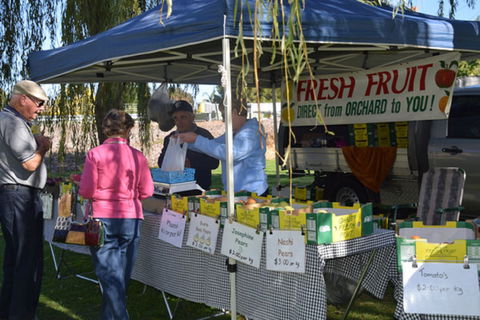 Corowa Rotary Federation Festival Market - New South Wales Tourism  0