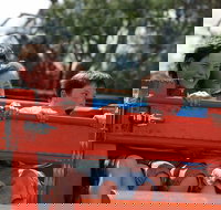 Culcairn Agricultural Show - New South Wales Tourism 