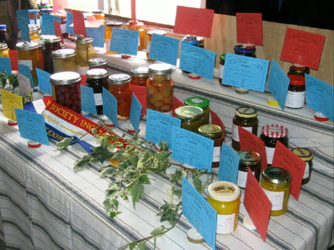 Dalgety Show - New South Wales Tourism  1