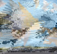 Dreams of Air and Flight - New South Wales Tourism 