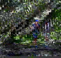 Elephant Trail Race - New South Wales Tourism 