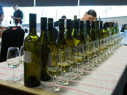 Eltham And District Wine Guild Annual Wine Show - 51st Annual Show - New South Wales Tourism  1
