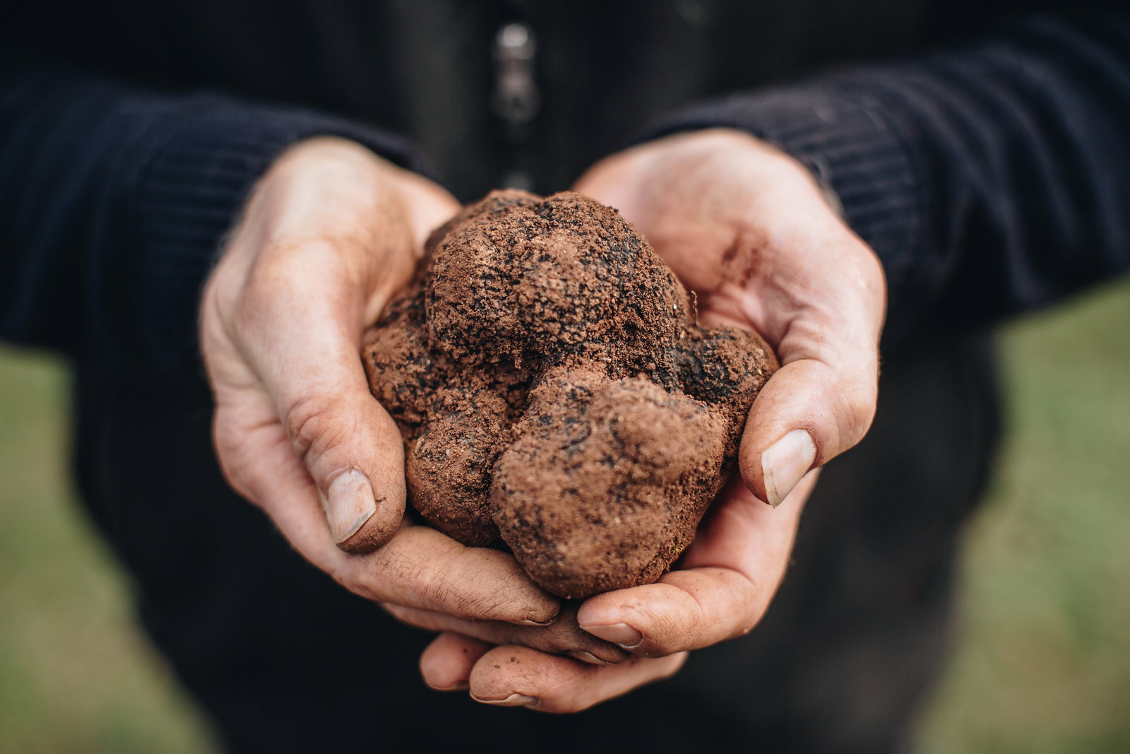 Wattle Flat VIC New South Wales Tourism 