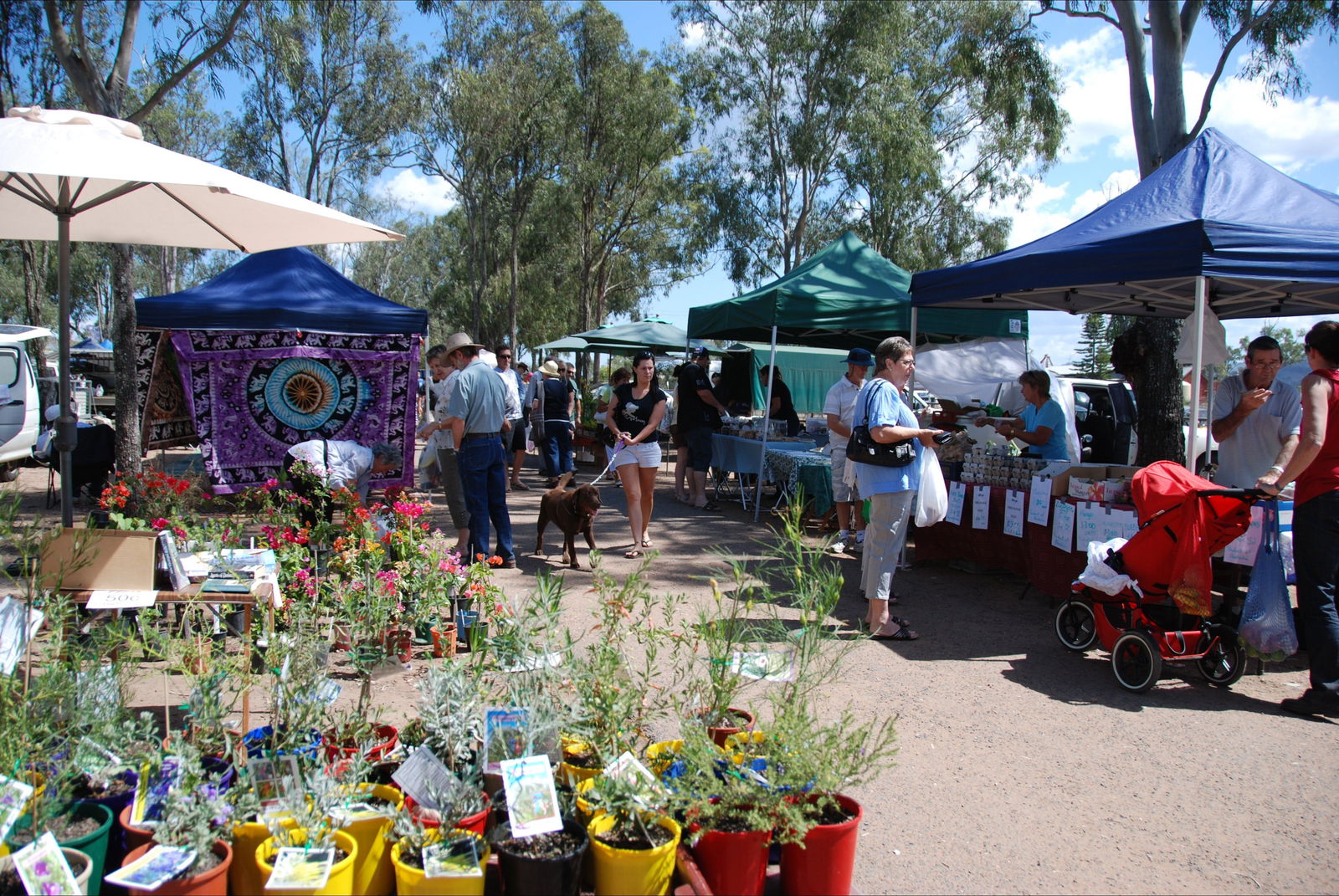 Fernvale QLD New South Wales Tourism 
