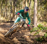 Fox Superflow sealed by Stan's Race  Ourimbah - New South Wales Tourism 