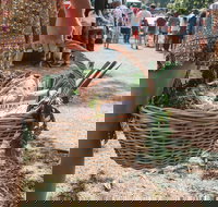 Gladstone Quality Markets - New South Wales Tourism 