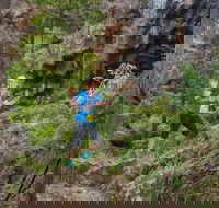 Goldrush Trail Runs - New South Wales Tourism 