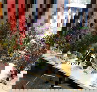 Grampians Wildflower Show - New South Wales Tourism 