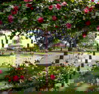 Griffith Spring Fest - New South Wales Tourism 