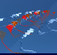 Harden Kite Festival - New South Wales Tourism 