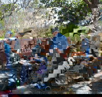 Herring Island Summer Arts Festival - New South Wales Tourism 