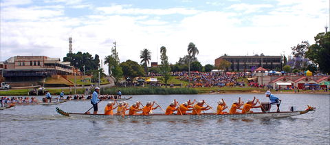 Jacaranda Dragon Boat Races - New South Wales Tourism  0