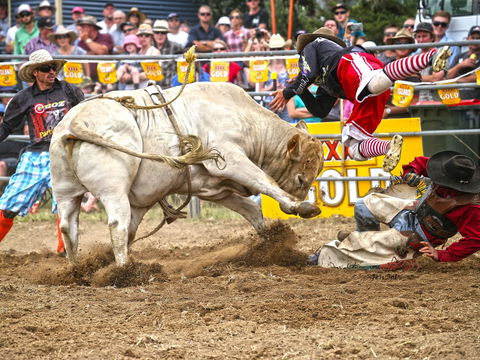 Jindabyne's Man From Snowy River Rodeo - New South Wales Tourism  0