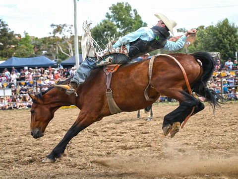 Jindabyne's Man From Snowy River Rodeo - New South Wales Tourism  1